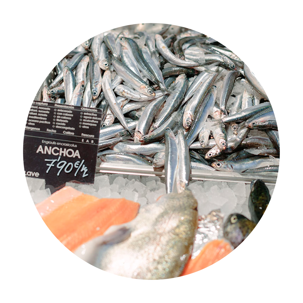 PESCADERIA-DESTAC-CIRC_1-1280x1280.png